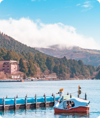 LankaPilot travel image